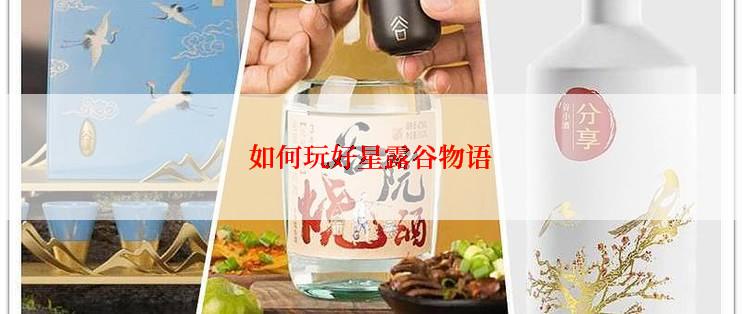 如何玩好星露谷物语