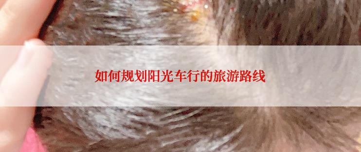 如何规划阳光车行的旅游路线