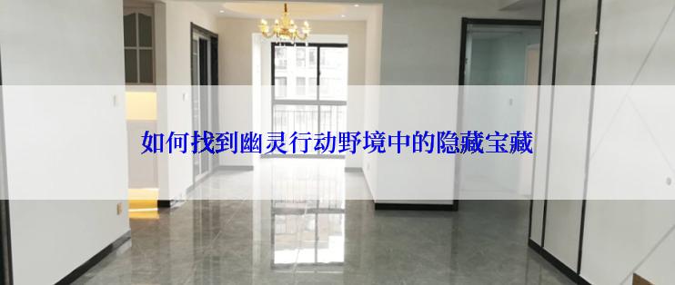如何找到幽灵行动野境中的隐藏宝藏