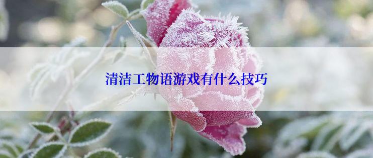 清洁工物语游戏有什么技巧
