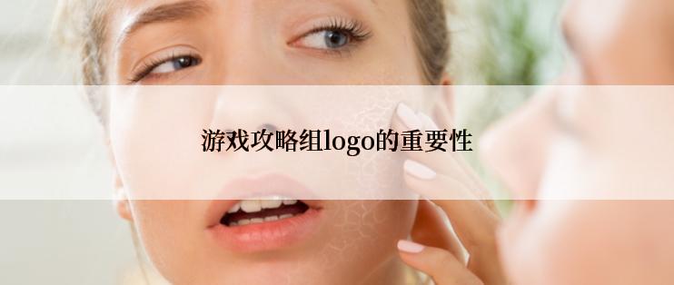 游戏攻略组logo的重要性