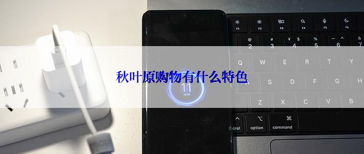 秋叶原购物有什么特色