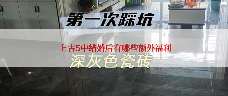  上古5中结婚后有哪些额外福利