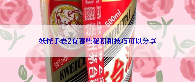 妖怪手表2有哪些秘籍和技巧可以分享