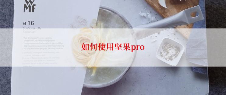 如何使用坚果pro