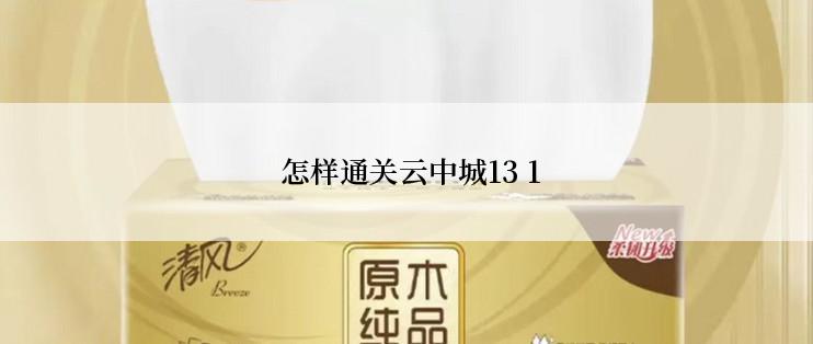  怎样通关云中城13 1