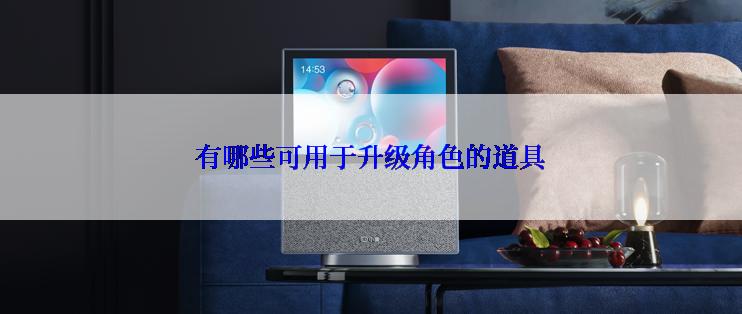 有哪些可用于升级角色的道具