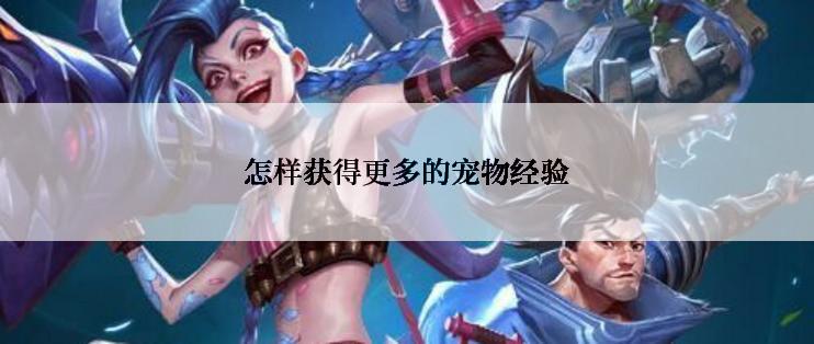 怎样获得更多的宠物经验