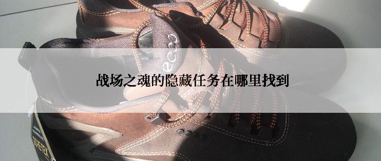  战场之魂的隐藏任务在哪里找到