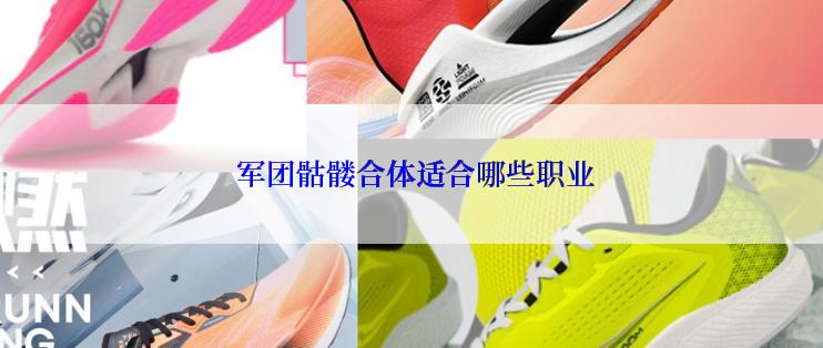  军团骷髅合体适合哪些职业