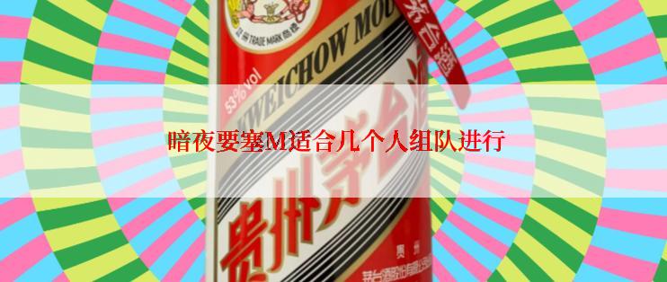  暗夜要塞M适合几个人组队进行