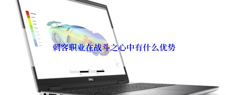  刺客职业在战斗之心中有什么优势