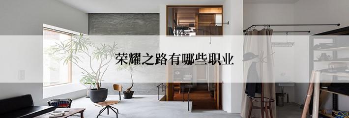 荣耀之路有哪些职业