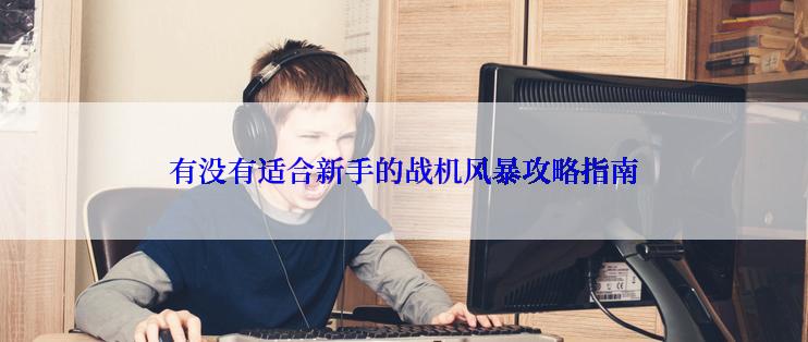 有没有适合新手的战机风暴攻略指南