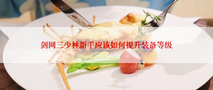 剑网三少林新手应该如何提升装备等级