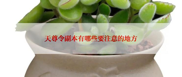 天尊令副本有哪些要注意的地方