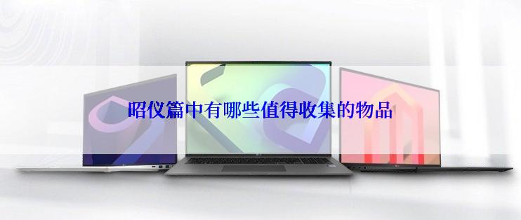 昭仪篇中有哪些值得收集的物品