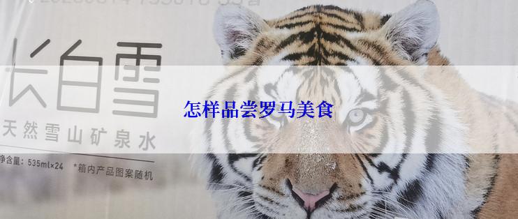 怎样品尝罗马美食