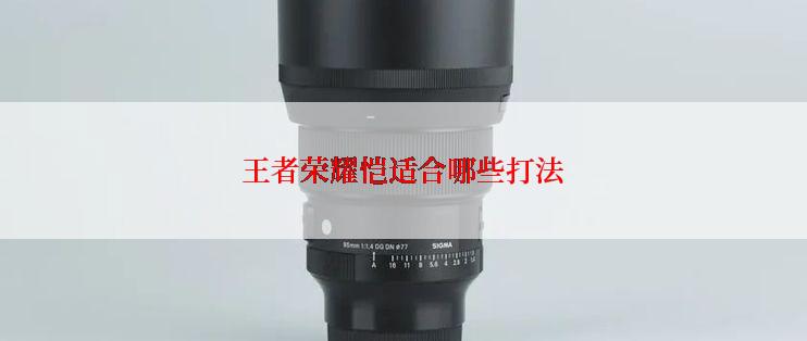 王者荣耀恺适合哪些打法