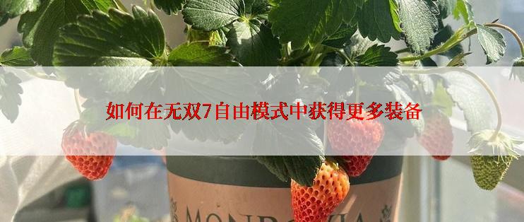  如何在无双7自由模式中获得更多装备