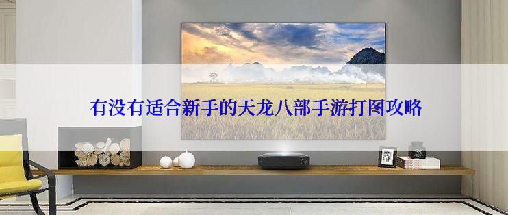  有没有适合新手的天龙八部手游打图攻略