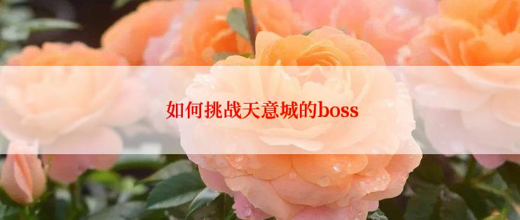  如何挑战天意城的boss