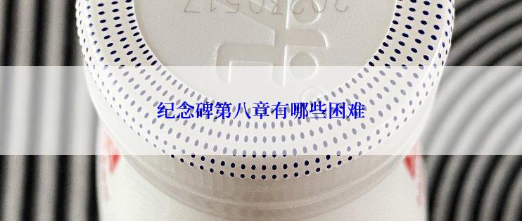 纪念碑第八章有哪些困难