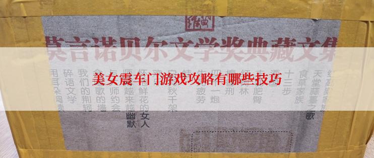 美女震车门游戏攻略有哪些技巧