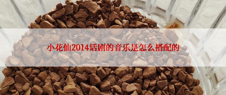 小花仙2014话剧的音乐是怎么搭配的