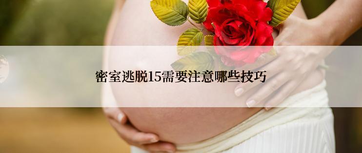 密室逃脱15需要注意哪些技巧