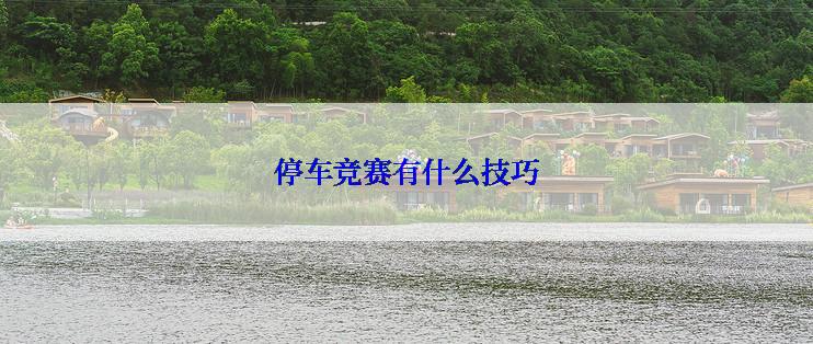 停车竞赛有什么技巧