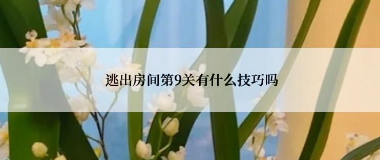  逃出房间第9关有什么技巧吗
