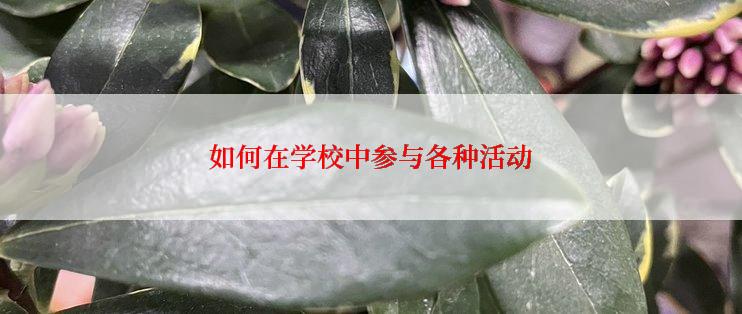 如何在学校中参与各种活动