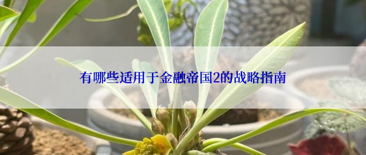 有哪些适用于金融帝国2的战略指南