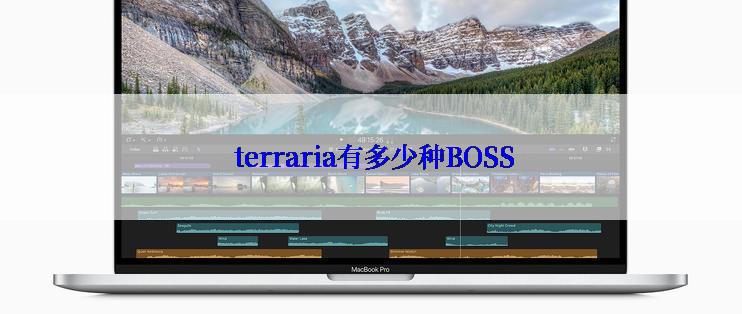  terraria有多少种BOSS