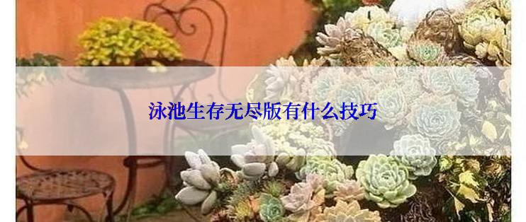 泳池生存无尽版有什么技巧