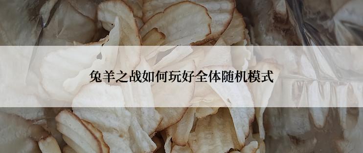 兔羊之战如何玩好全体随机模式