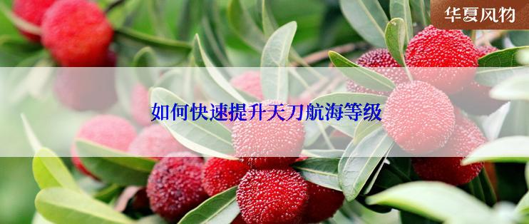 如何快速提升天刀航海等级