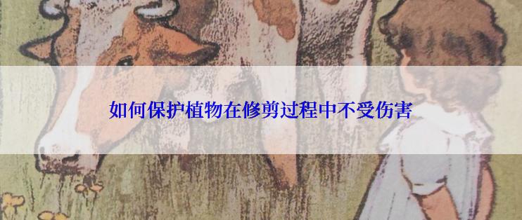 如何保护植物在修剪过程中不受伤害