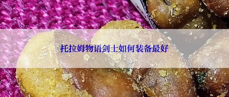 托拉姆物语剑士如何装备最好