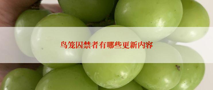 鸟笼囚禁者有哪些更新内容
