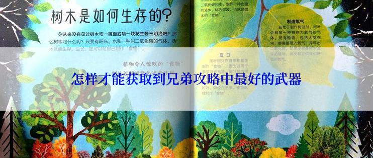 怎样才能获取到兄弟攻略中最好的武器
