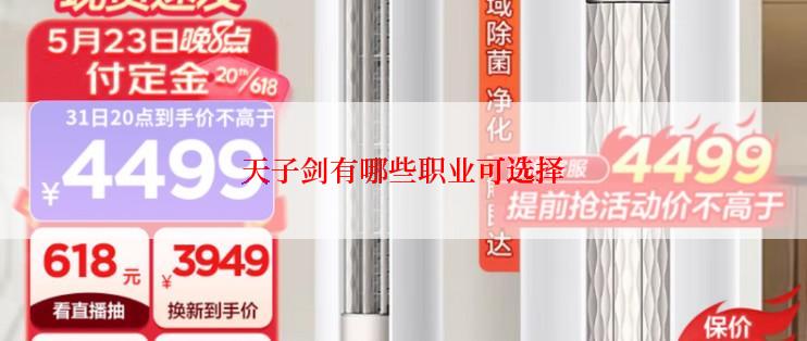 天子剑有哪些职业可选择