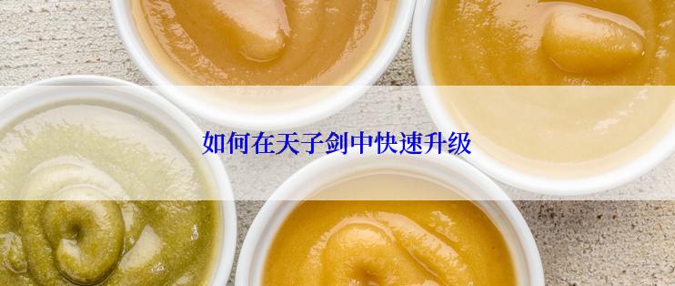 如何在天子剑中快速升级