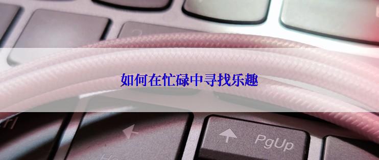 如何在忙碌中寻找乐趣