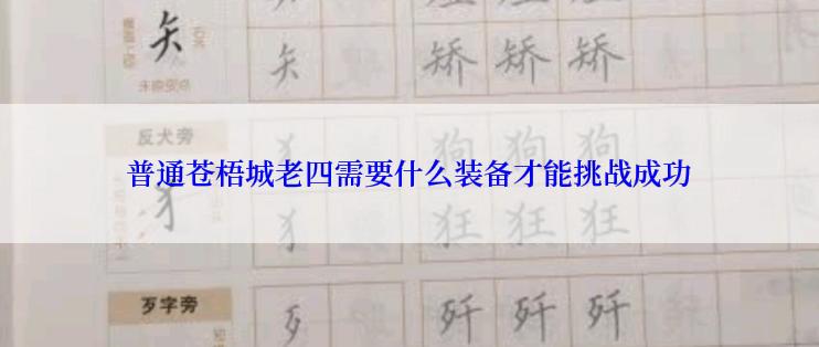 普通苍梧城老四需要什么装备才能挑战成功