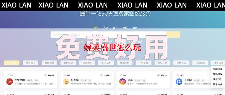 婉柔盛世怎么玩