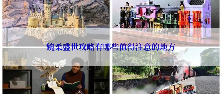 婉柔盛世攻略有哪些值得注意的地方