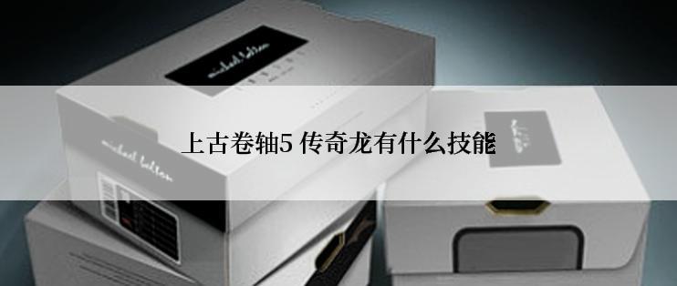 上古卷轴5 传奇龙有什么技能
