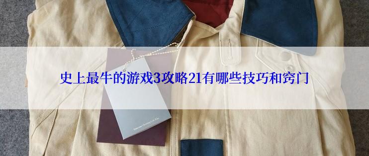 史上最牛的游戏3攻略21有哪些技巧和窍门